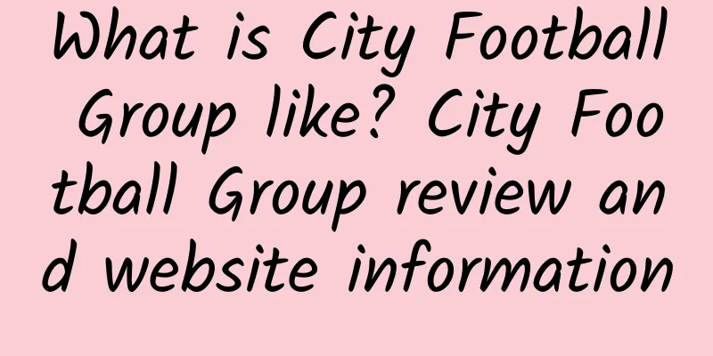 What is City Football Group like? City Football Group review and website information