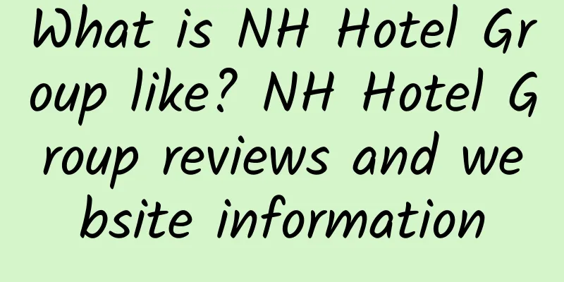 What is NH Hotel Group like? NH Hotel Group reviews and website information