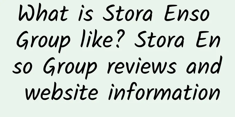 What is Stora Enso Group like? Stora Enso Group reviews and website information
