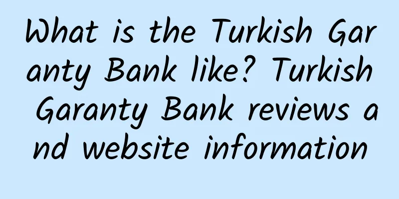 What is the Turkish Garanty Bank like? Turkish Garanty Bank reviews and website information