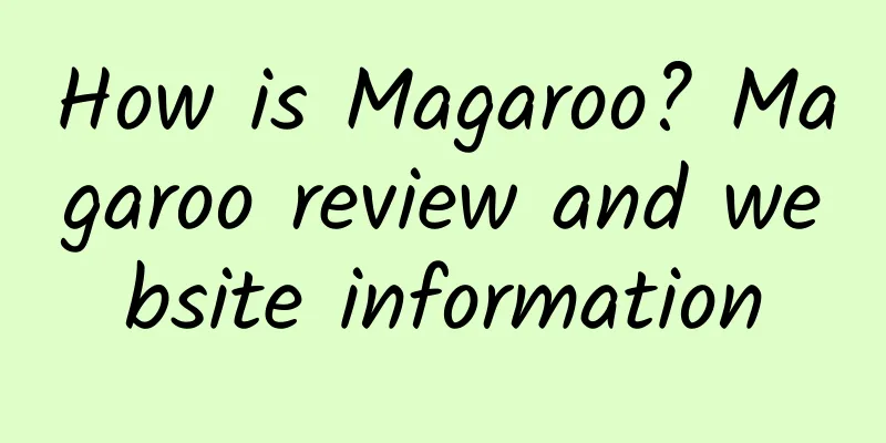How is Magaroo? Magaroo review and website information