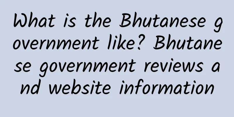 What is the Bhutanese government like? Bhutanese government reviews and website information