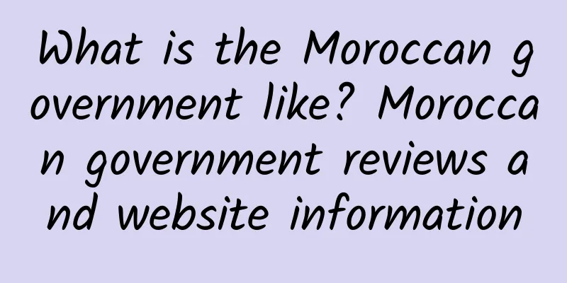 What is the Moroccan government like? Moroccan government reviews and website information