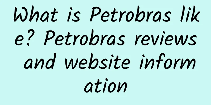 What is Petrobras like? Petrobras reviews and website information