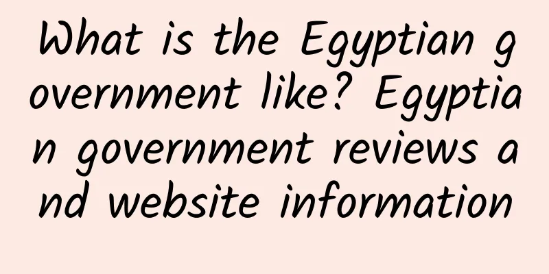 What is the Egyptian government like? Egyptian government reviews and website information