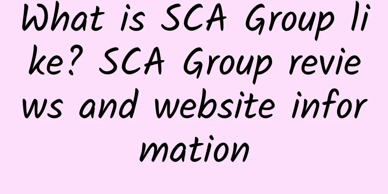What is SCA Group like? SCA Group reviews and website information