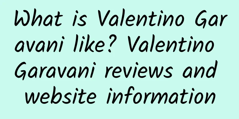 What is Valentino Garavani like? Valentino Garavani reviews and website information