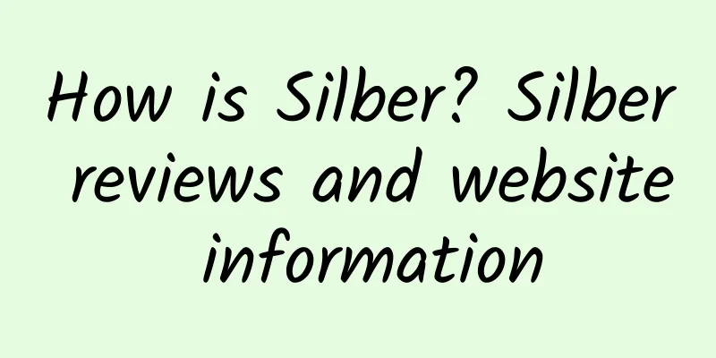 How is Silber? Silber reviews and website information