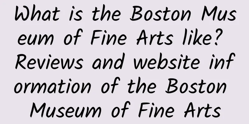 What is the Boston Museum of Fine Arts like? Reviews and website information of the Boston Museum of Fine Arts