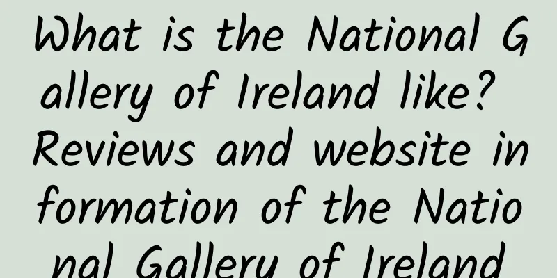 What is the National Gallery of Ireland like? Reviews and website information of the National Gallery of Ireland