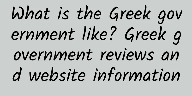 What is the Greek government like? Greek government reviews and website information