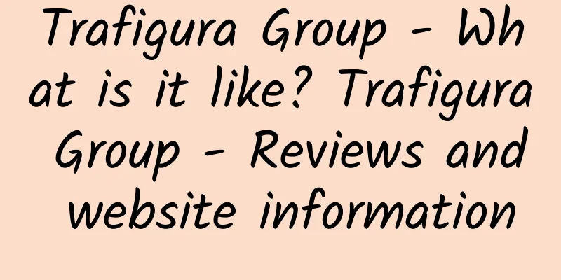 Trafigura Group - What is it like? Trafigura Group - Reviews and website information