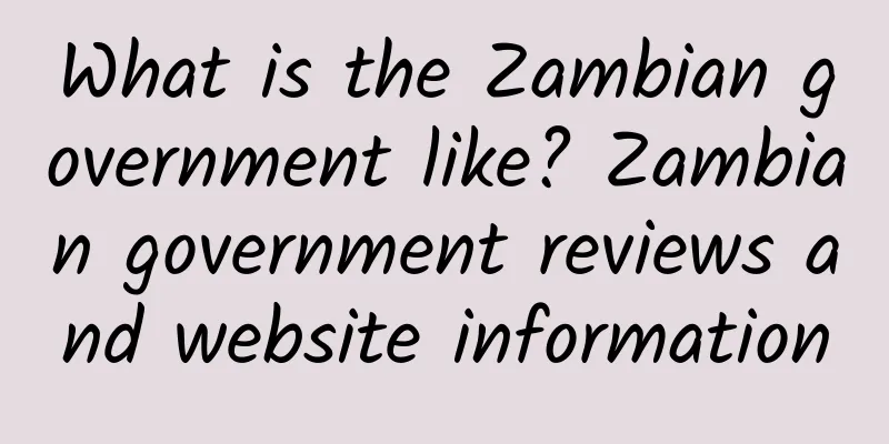 What is the Zambian government like? Zambian government reviews and website information