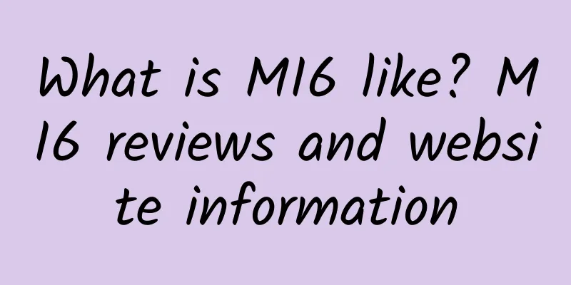 What is MI6 like? MI6 reviews and website information