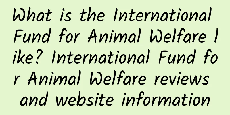 What is the International Fund for Animal Welfare like? International Fund for Animal Welfare reviews and website information
