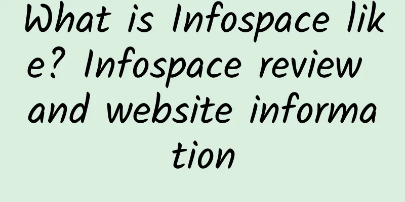 What is Infospace like? Infospace review and website information