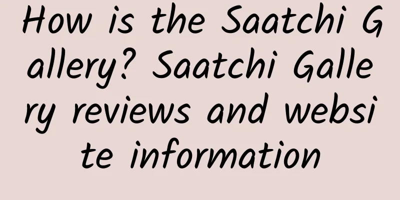 How is the Saatchi Gallery? Saatchi Gallery reviews and website information