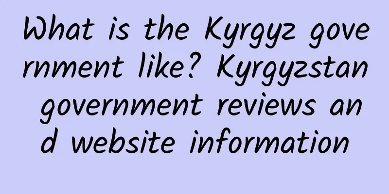 What is the Kyrgyz government like? Kyrgyzstan government reviews and website information