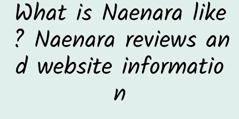 What is Naenara like? Naenara reviews and website information