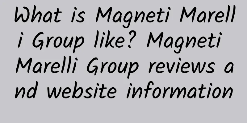 What is Magneti Marelli Group like? Magneti Marelli Group reviews and website information