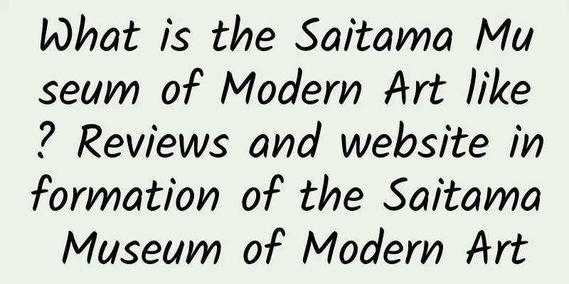 What is the Saitama Museum of Modern Art like? Reviews and website information of the Saitama Museum of Modern Art