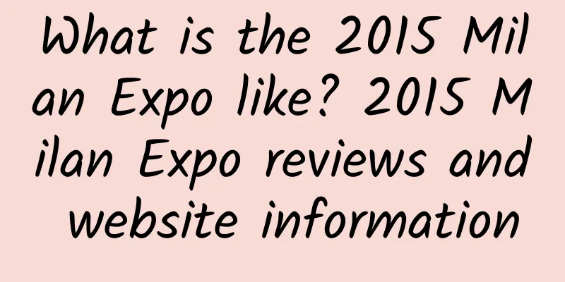 What is the 2015 Milan Expo like? 2015 Milan Expo reviews and website information