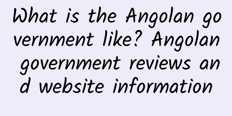 What is the Angolan government like? Angolan government reviews and website information