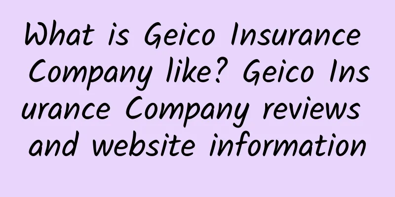 What is Geico Insurance Company like? Geico Insurance Company reviews and website information