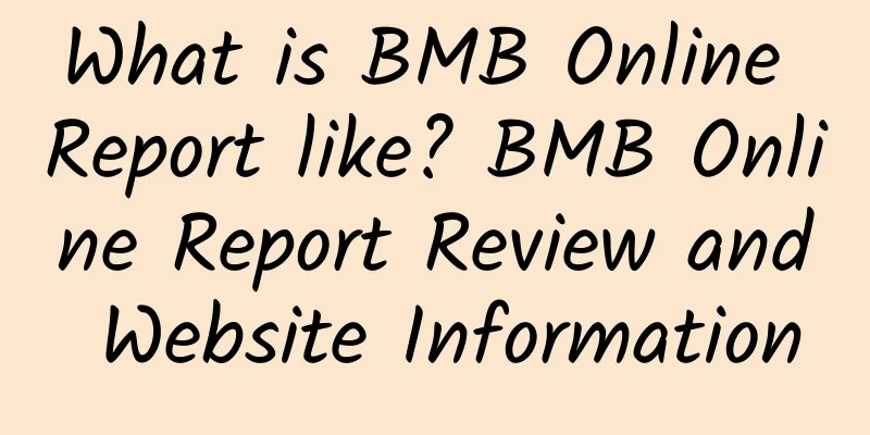 What is BMB Online Report like? BMB Online Report Review and Website Information