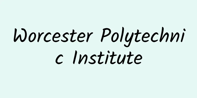 Worcester Polytechnic Institute