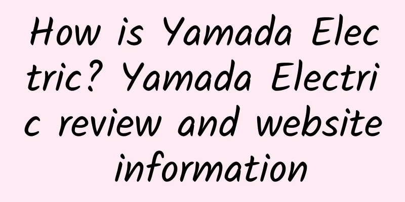 How is Yamada Electric? Yamada Electric review and website information