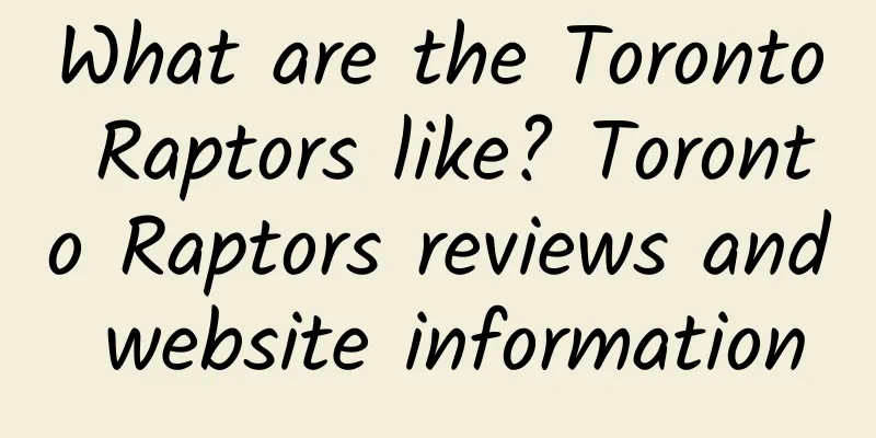 What are the Toronto Raptors like? Toronto Raptors reviews and website information