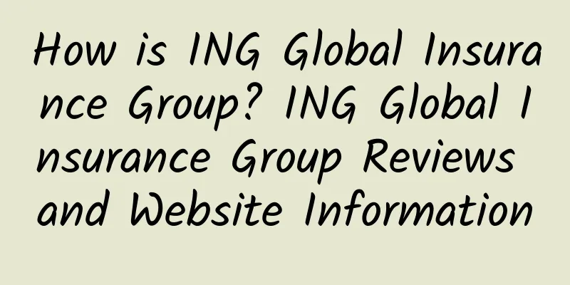 How is ING Global Insurance Group? ING Global Insurance Group Reviews and Website Information