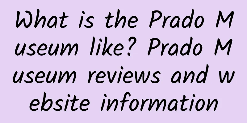 What is the Prado Museum like? Prado Museum reviews and website information