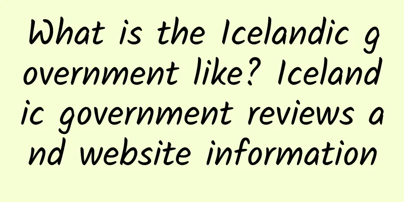 What is the Icelandic government like? Icelandic government reviews and website information