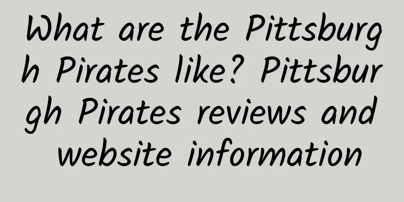 What are the Pittsburgh Pirates like? Pittsburgh Pirates reviews and website information