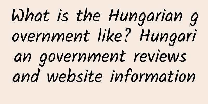 What is the Hungarian government like? Hungarian government reviews and website information
