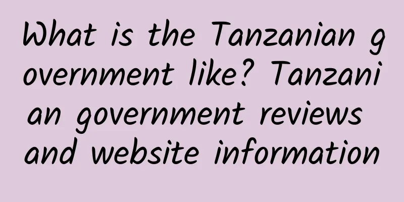 What is the Tanzanian government like? Tanzanian government reviews and website information