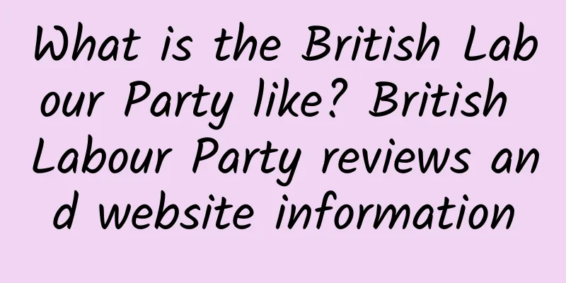 What is the British Labour Party like? British Labour Party reviews and website information
