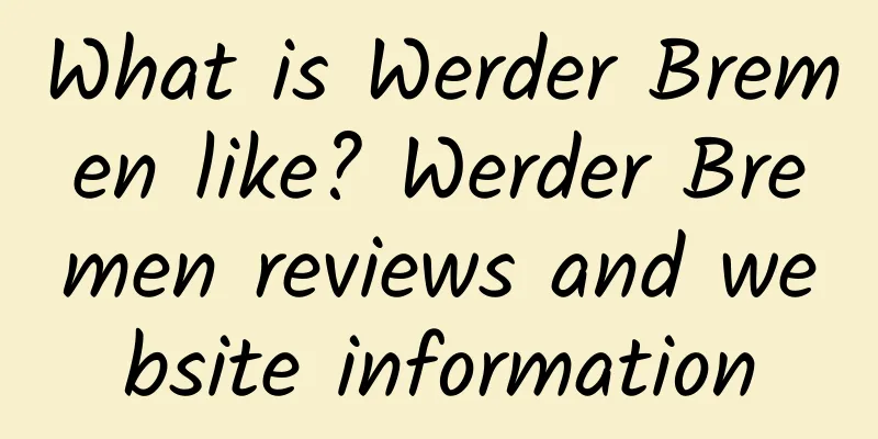 What is Werder Bremen like? Werder Bremen reviews and website information