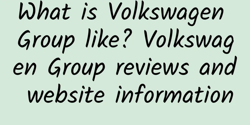 What is Volkswagen Group like? Volkswagen Group reviews and website information