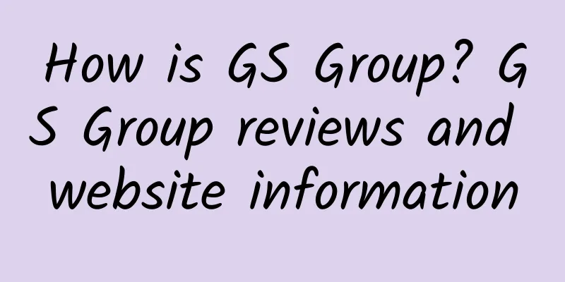 How is GS Group? GS Group reviews and website information