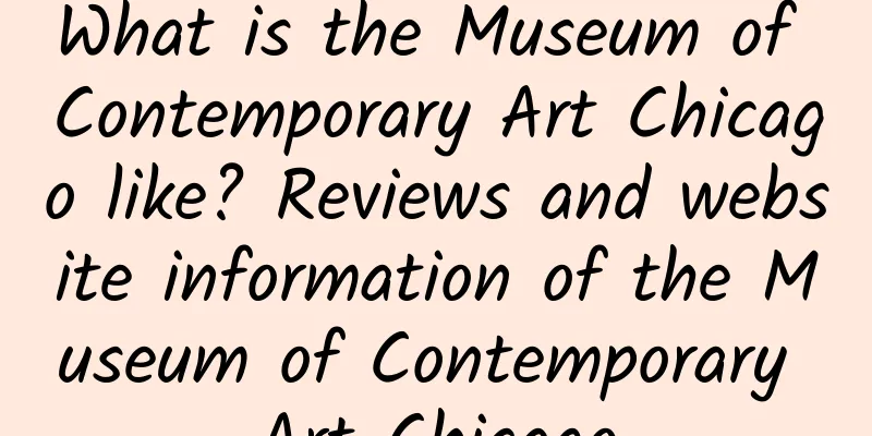 What is the Museum of Contemporary Art Chicago like? Reviews and website information of the Museum of Contemporary Art Chicago