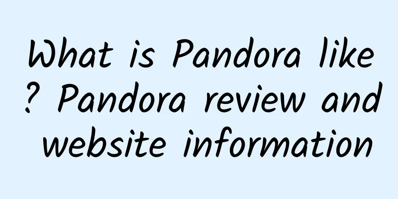 What is Pandora like? Pandora review and website information