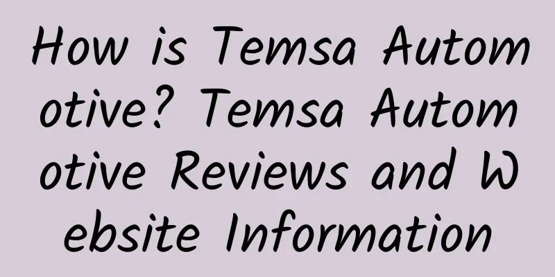 How is Temsa Automotive? Temsa Automotive Reviews and Website Information