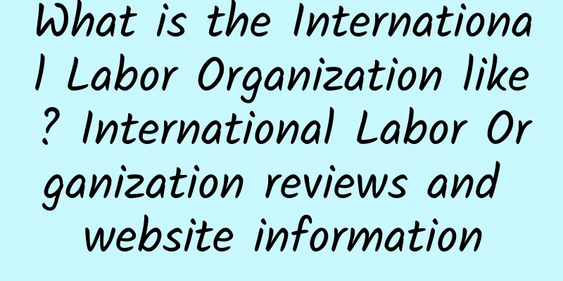 What is the International Labor Organization like? International Labor Organization reviews and website information