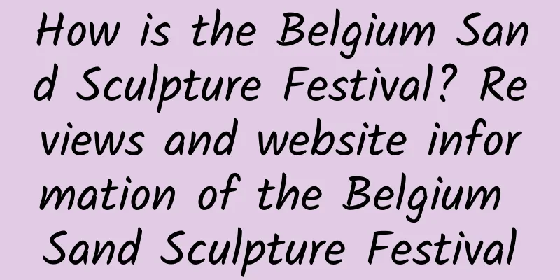 How is the Belgium Sand Sculpture Festival? Reviews and website information of the Belgium Sand Sculpture Festival