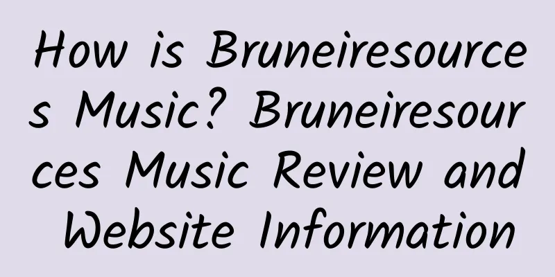 How is Bruneiresources Music? Bruneiresources Music Review and Website Information
