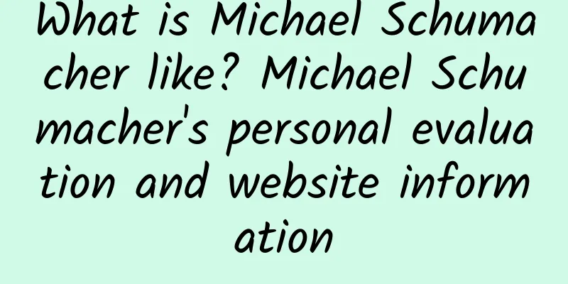 What is Michael Schumacher like? Michael Schumacher's personal evaluation and website information