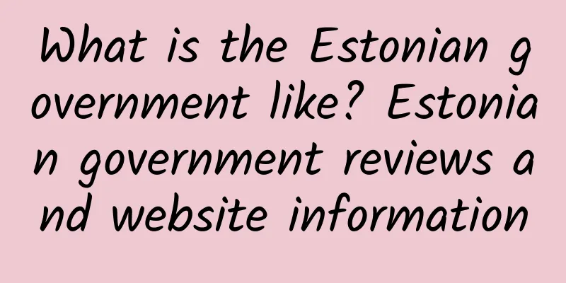 What is the Estonian government like? Estonian government reviews and website information